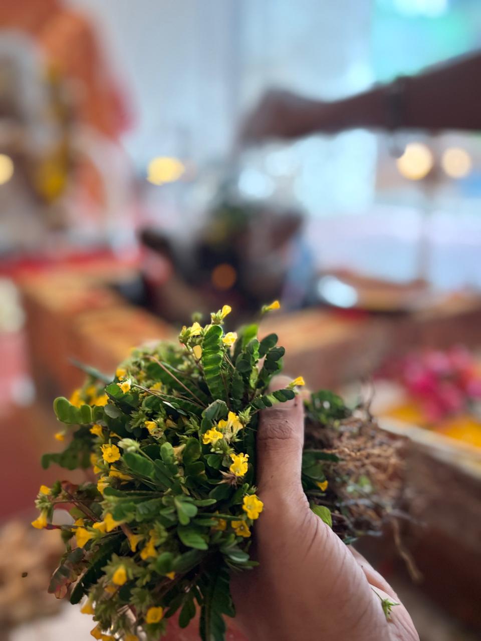 Traditional pooja lighting