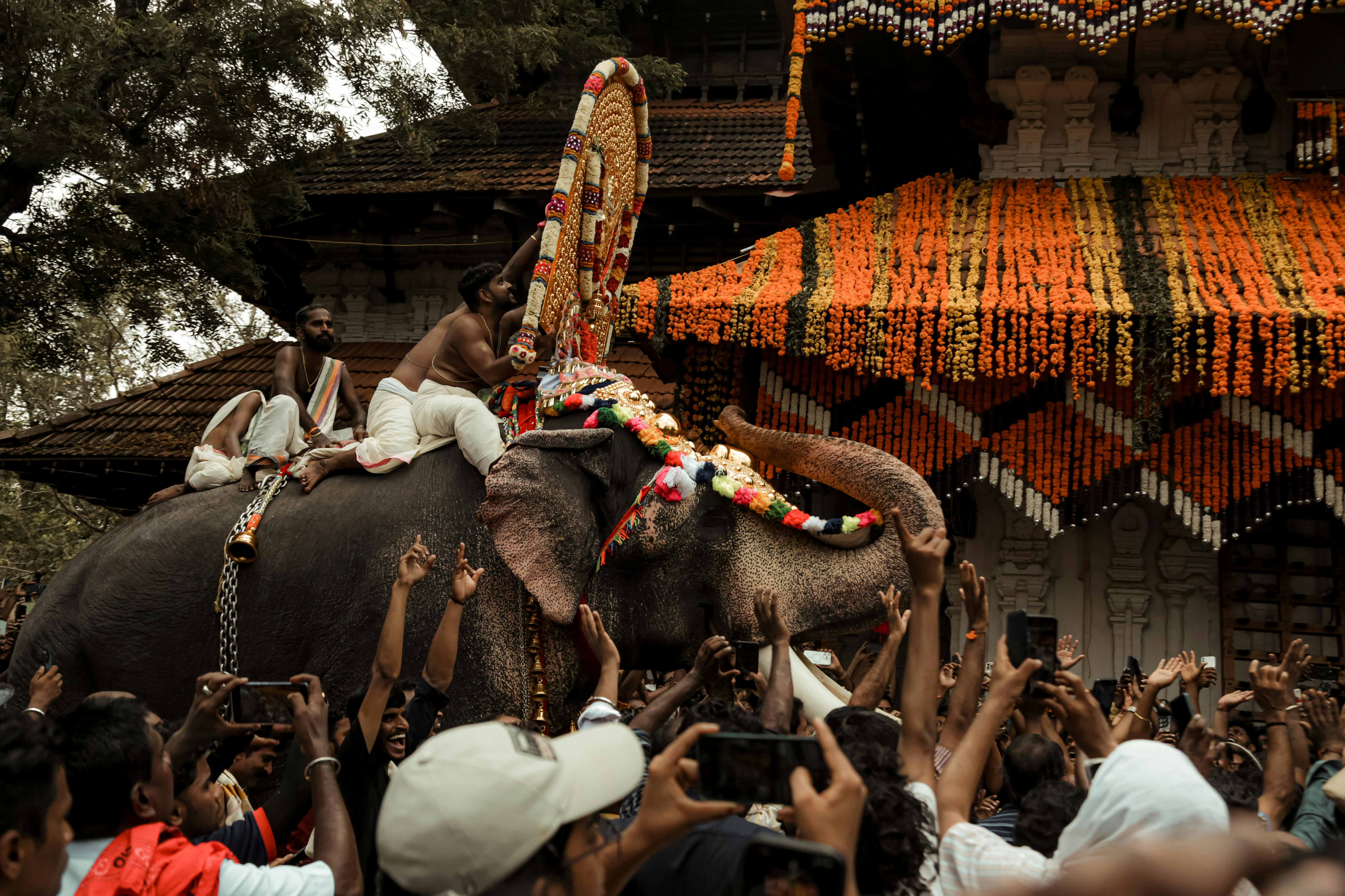 Kerala temple festival elephant